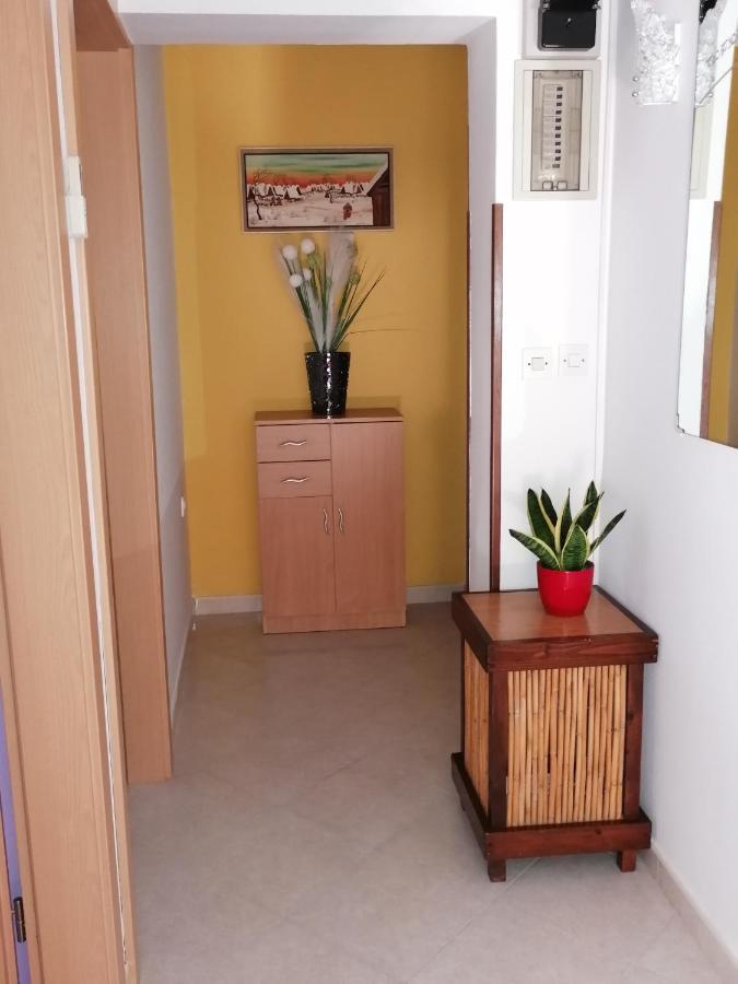 Apartman Bruna Novigrad  Luaran gambar